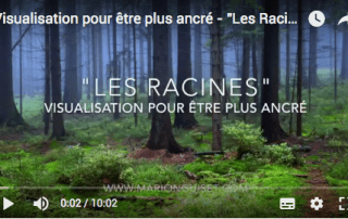 Les racines